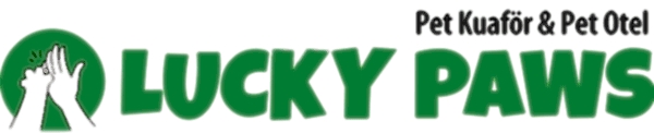 Lucky Paws | Pet Otel - Pet Kuaför